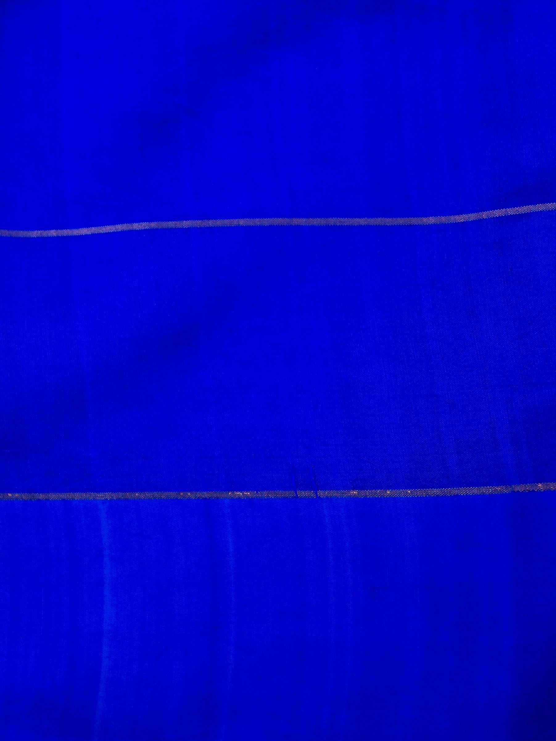 Pure Banarasi Mango Katan Silk Saree - Silk Mark Certified