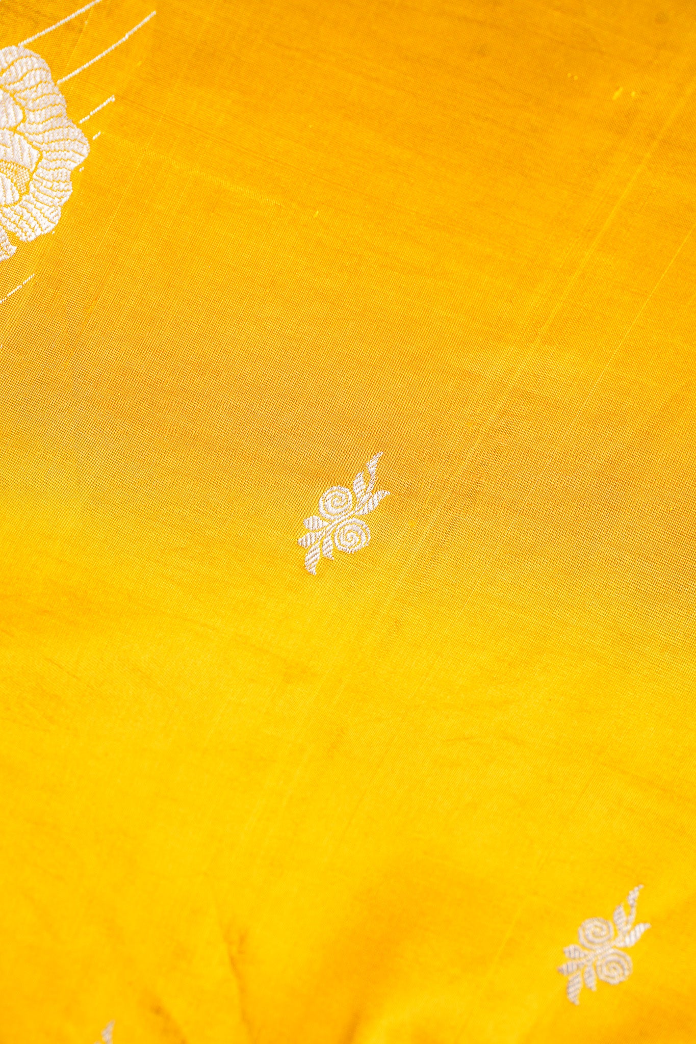 Golden Mustard Handloom Pure Silk Banarasi Saree