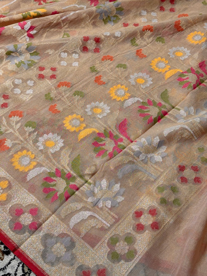 Beige Gold Banarasi cotton Jamdani handloom Saree