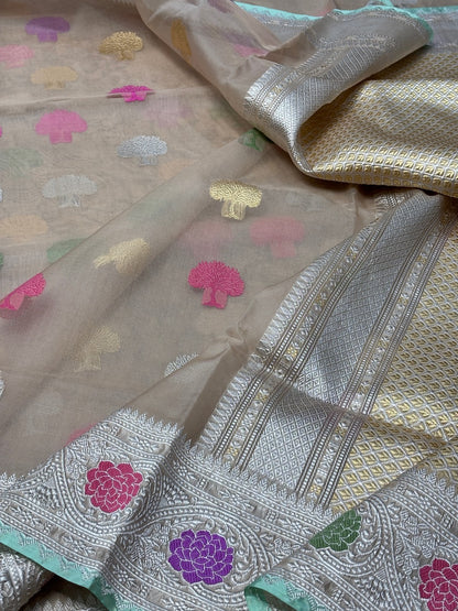 Champagne Beige Banarasi Kora Silk Handwoven Saree