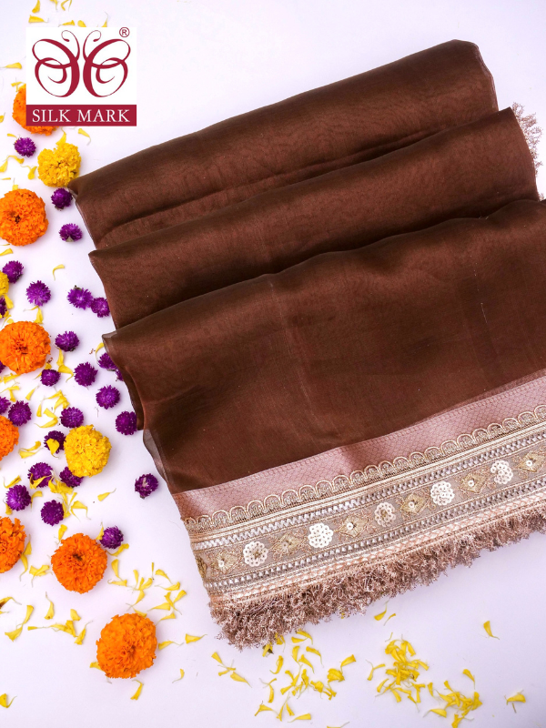 Banarasi Pure Tissue Silk Saree with Brocade Blouse