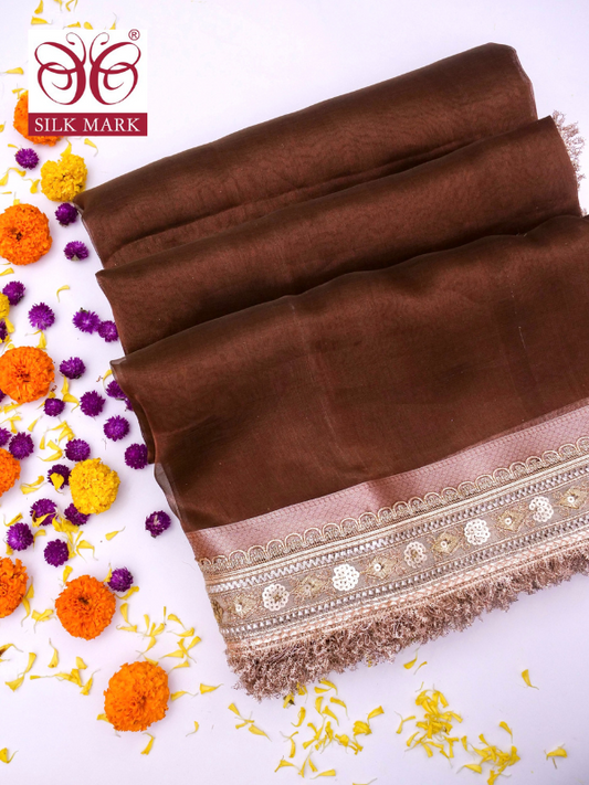 Banarasi Pure Tissue Silk Saree with Brocade Blouse