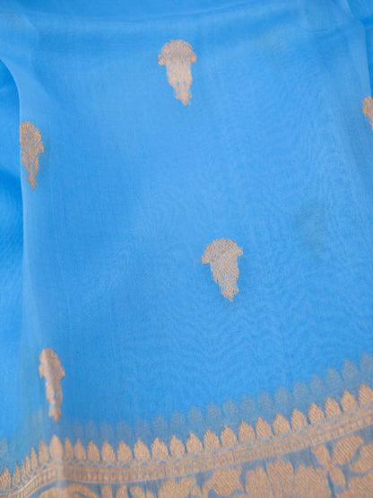 Handloom Banarasi Pure Kora Organza Saree