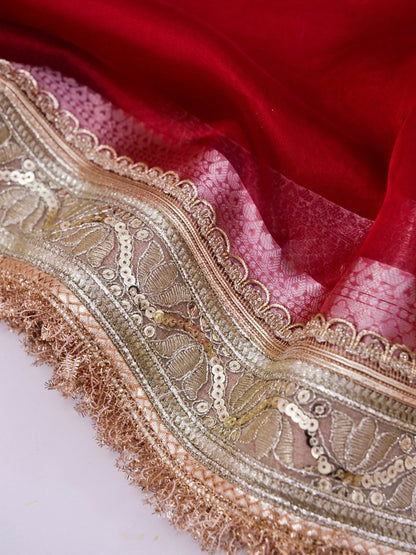Banarasi Pure Tissue Silk Saree with Brocade Blouse
