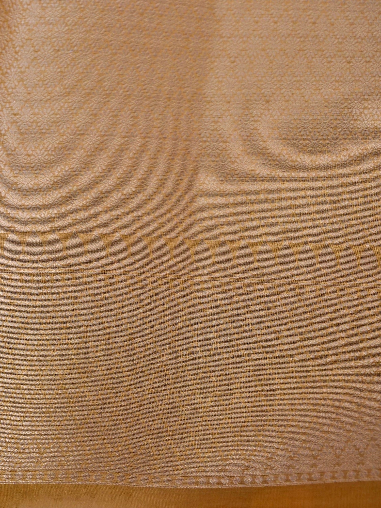 Banarasi Pure Tissue Silk Saree with Brocade Blouse