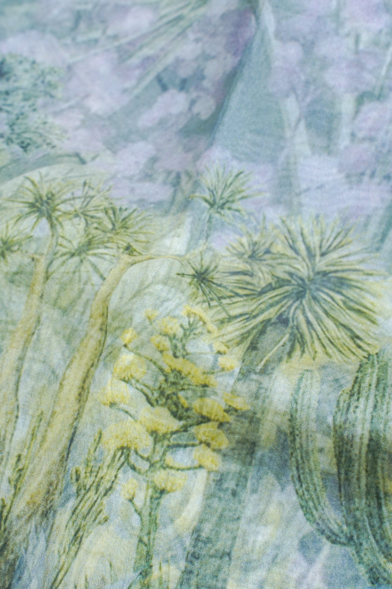 Soothing Green Pure printed Kora organza silk saree