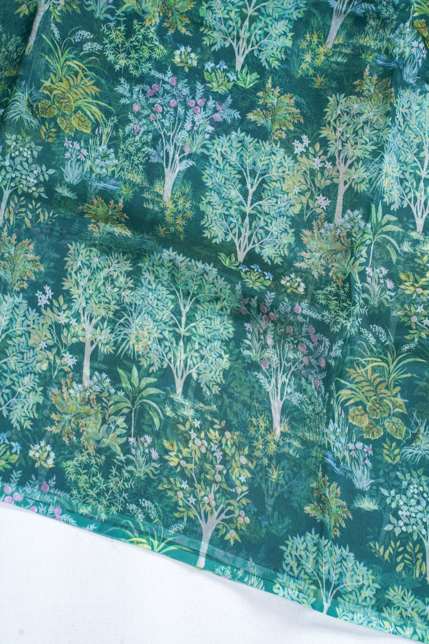 Forest Green Pure printed Kora organza silk saree