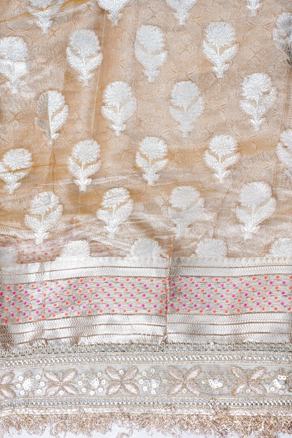 Champagne Gold Pure Tissue Silk Banarasi Saree with Lace Border