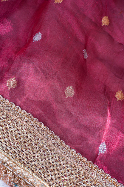 Banarasi Pure Tissue Silk Saree with Handcrafted Lace Border