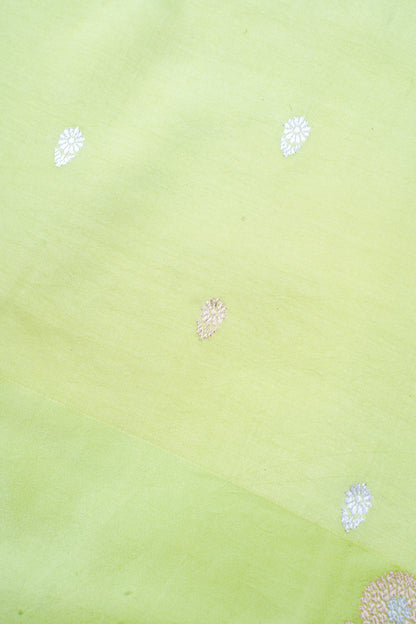 Light Pista Green Handloom Pure Silk Banarasi Saree