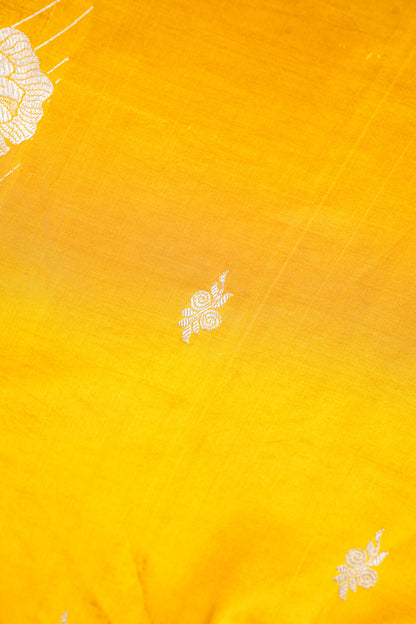 Golden Mustard Handloom Pure Silk Banarasi Saree