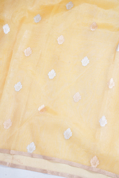 Golden Yellow Pure Tissue Silk Handloom Saree