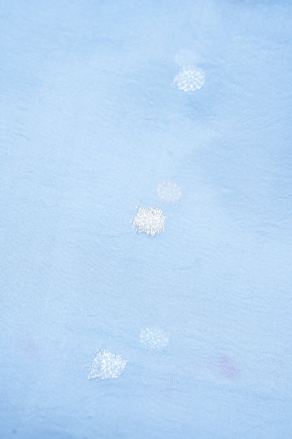 Powder Blue Handloom Kora Aada Rangkat Banarasi Saree