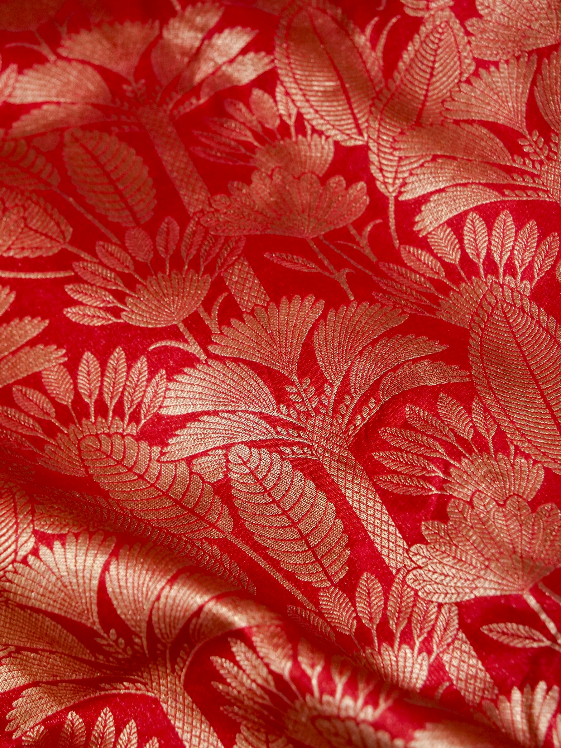 Deep Red Handloom Pure Katan Silk Banarasi Brocade Saree